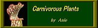 「Carnivorous Plants」