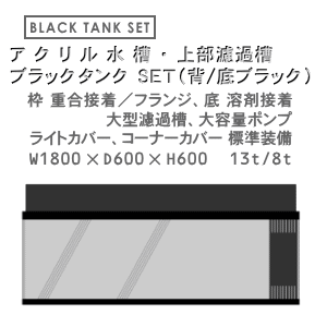 W1800×D600×H600 アクリル水槽 ブラックタンク セット
