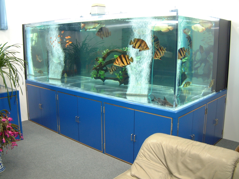 栃木県Ｏ様 Ｗ3000オーバーフロー大型淡水熱帯魚水槽