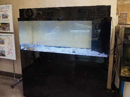 大阪府岸和田市 きしわだ自然資料館 様 1500アクリル水槽設備