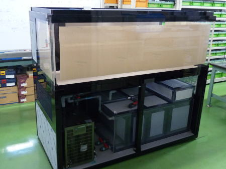 静岡県湖西市 Y 様 1800×900×600 アクリル水槽設備