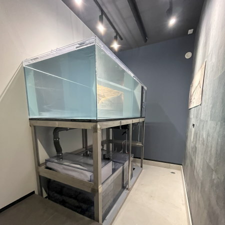 愛知県あま市 S 様 1800 アクリルオーバーフロー水槽設備